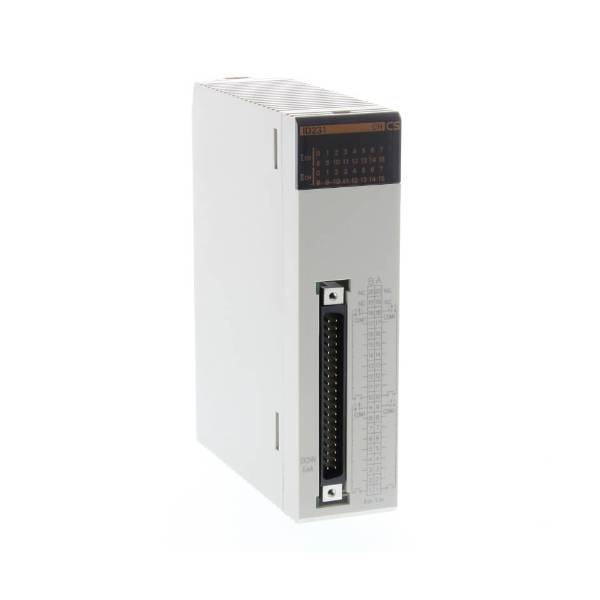 CS1W-ID231